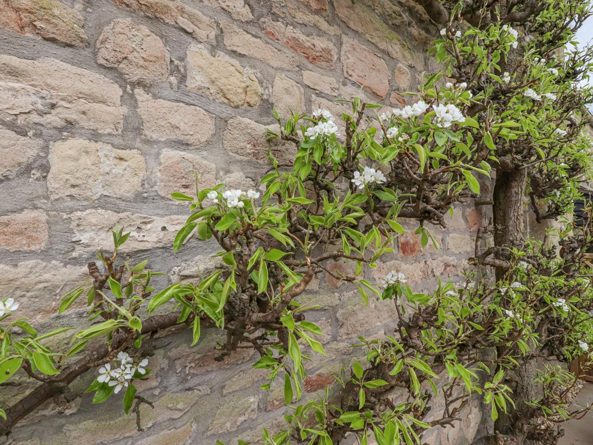 Pear Tree Cottage At Hey Farm Barnoldswick Exterior foto